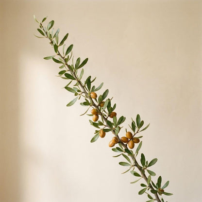 Branche d'arganier avec des feuilles vertes et des fruits dorés sur fond neutre. L'argan est une huile idéale pour peau sèche.
