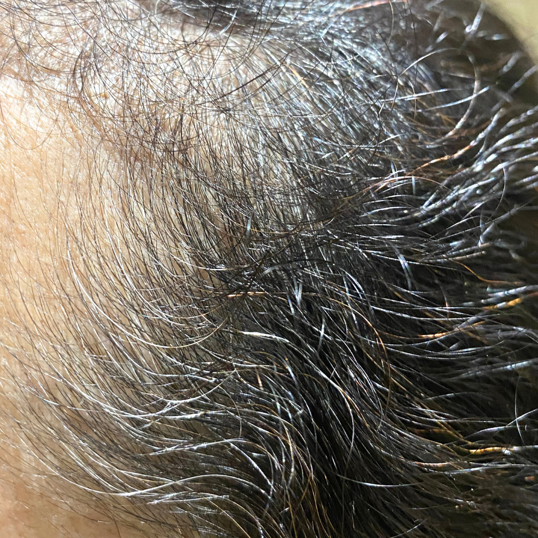 Cheveux ternes avec racines blanches visibles avant l’application de la coloration végétale TËNA MARÏYA.