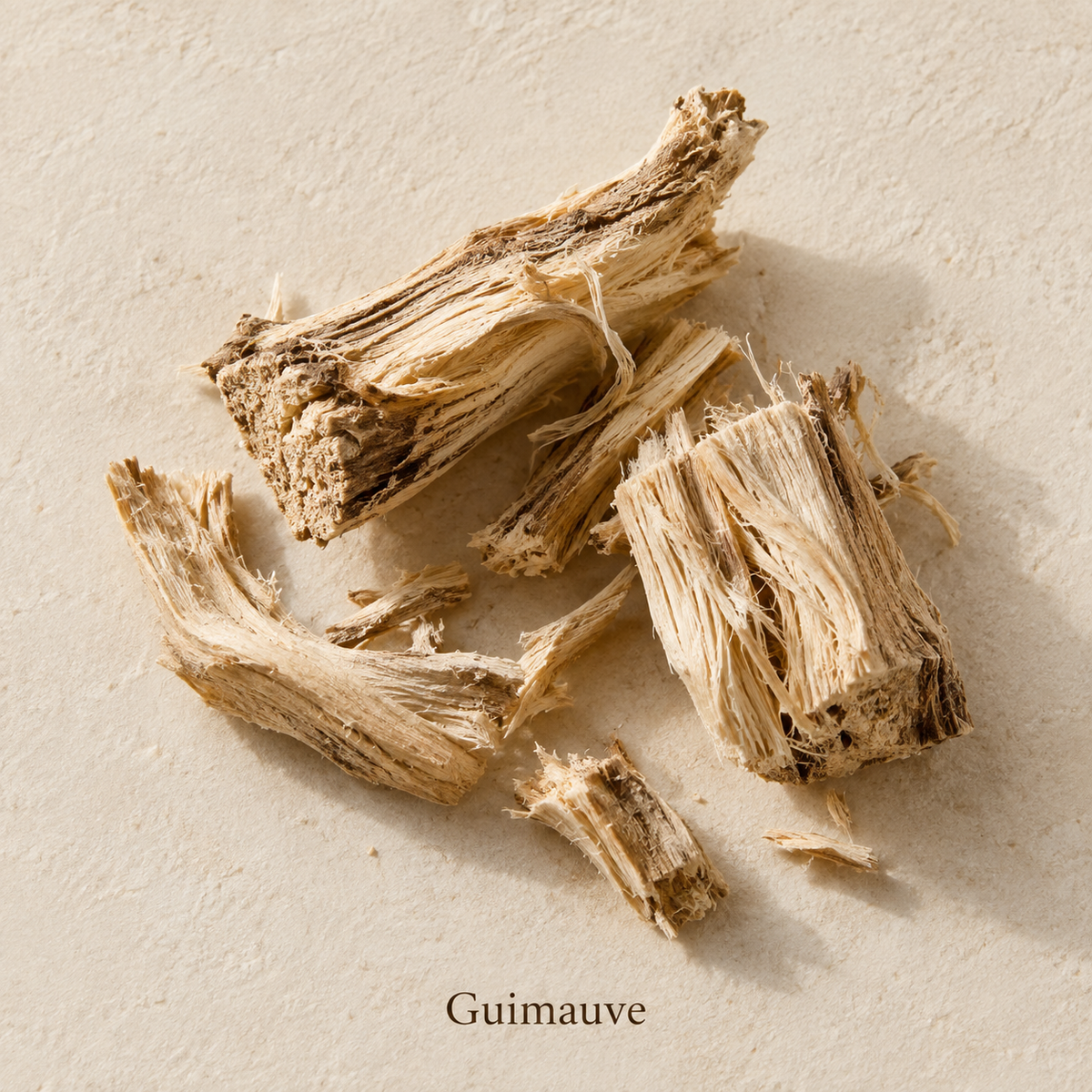 Illustration botanique de Guimauve, avec son nom sur fond crème.
