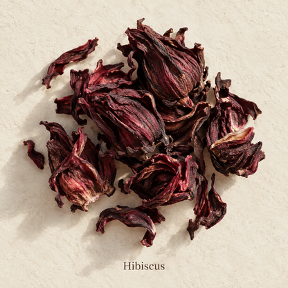 Illustration botanique de Hibiscus, avec son nom sur fond crème.